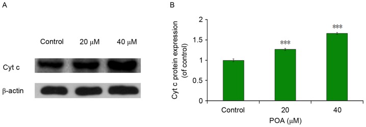 Figure 9.