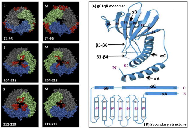 Fig. 10