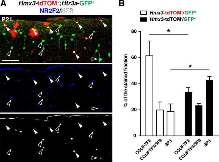 Figure 4—figure supplement 1.