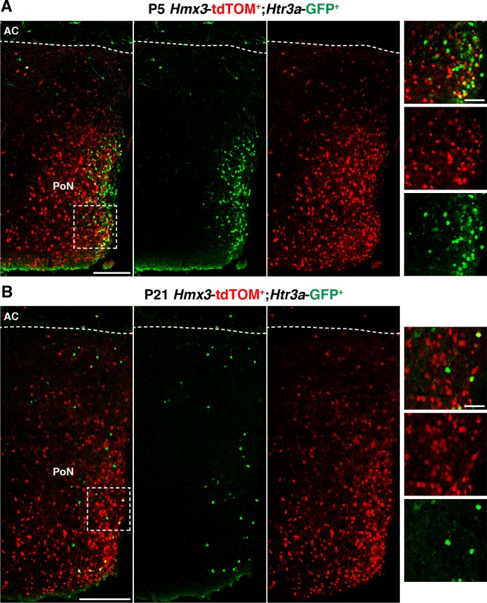 Figure 2—figure supplement 2.