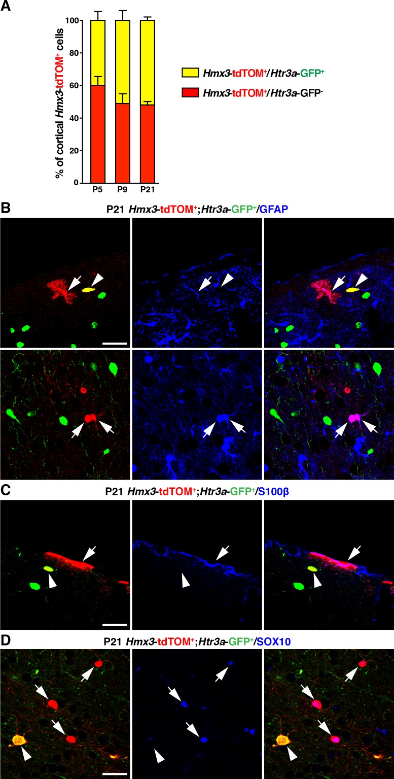 Figure 2—figure supplement 3.