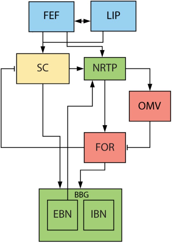 FIGURE 2