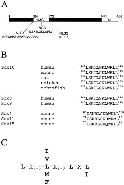 FIG. 8.