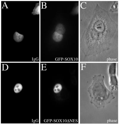 FIG. 6.