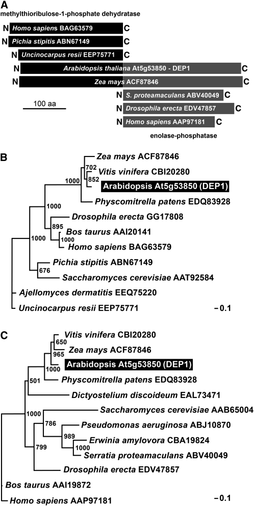 Figure 7.