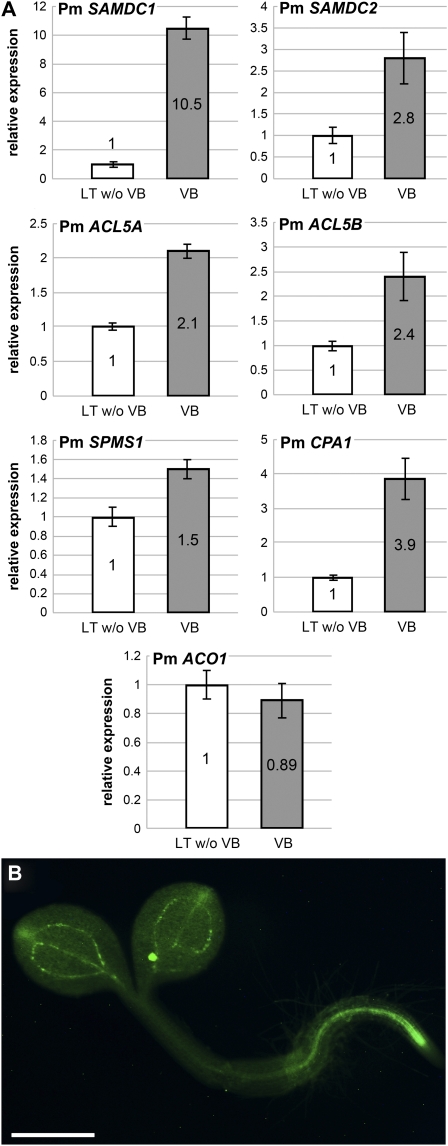 Figure 10.