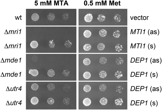 Figure 6.