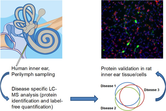 graphic file with name ao1c01136_0007.jpg