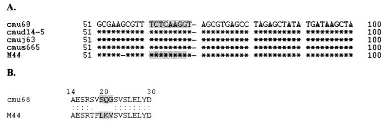 FIG. 1