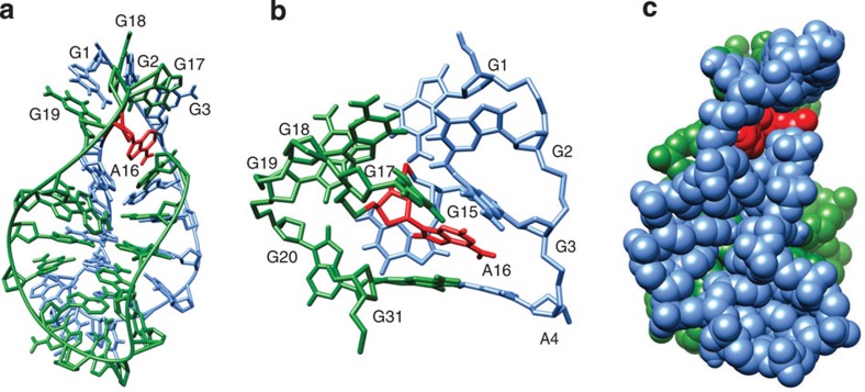 Figure 10