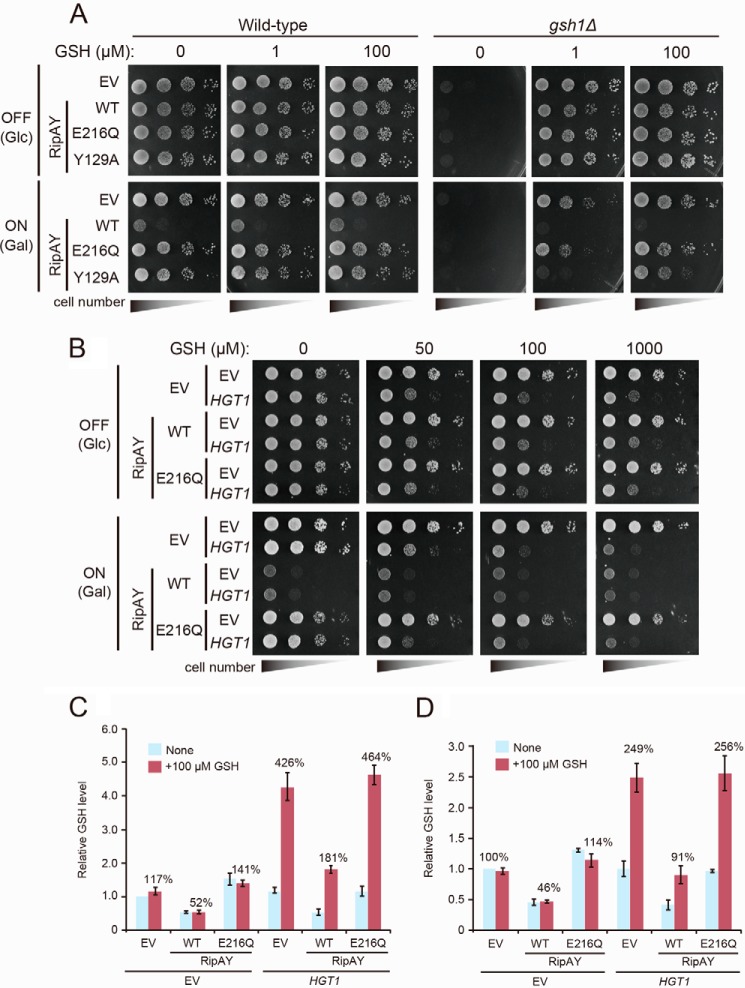 FIGURE 3.