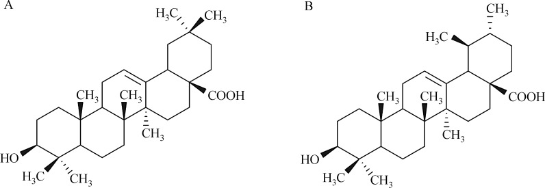 Fig.1