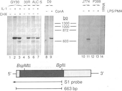 graphic file with name pnas00298-0068-a.jpg