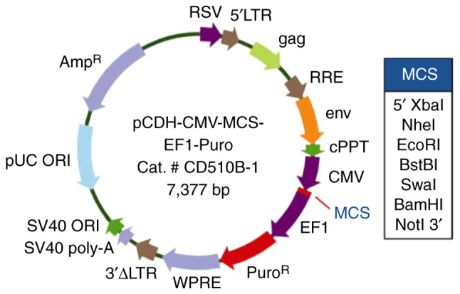 Figure 2.