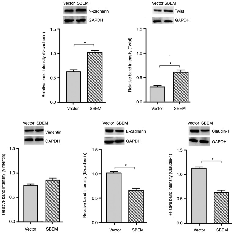 Figure 11.