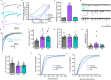 Fig. 10