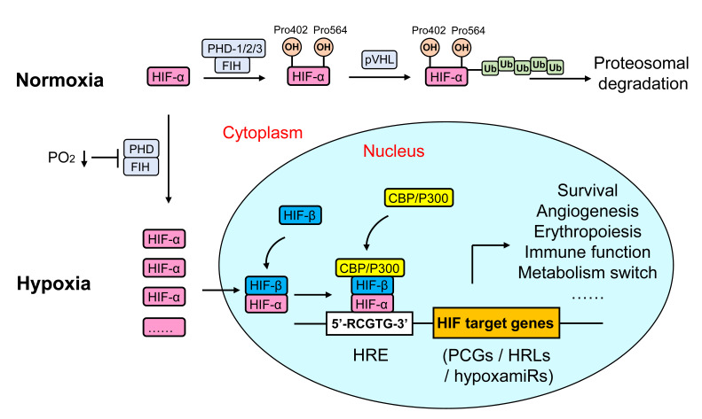 Figure 2