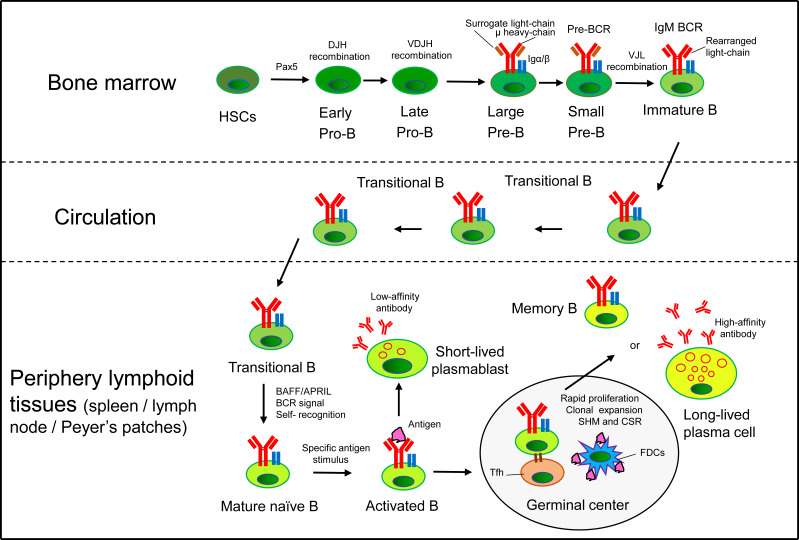 Figure 1