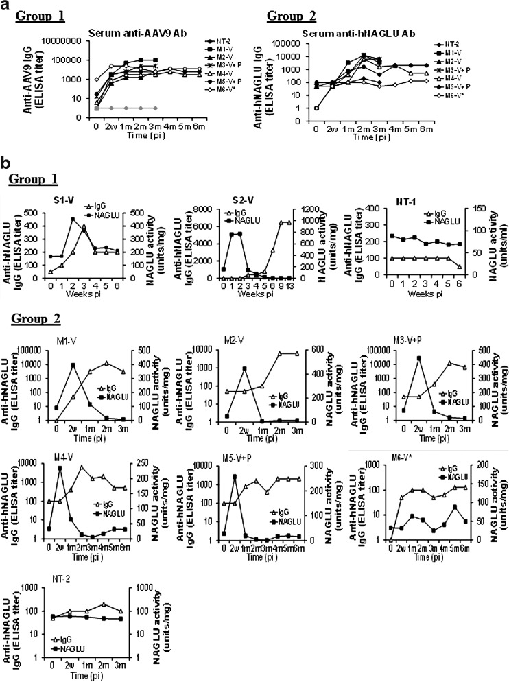 FIG. 6.