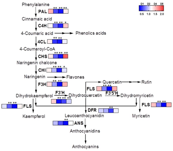 Figure 7