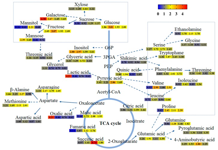 Figure 5