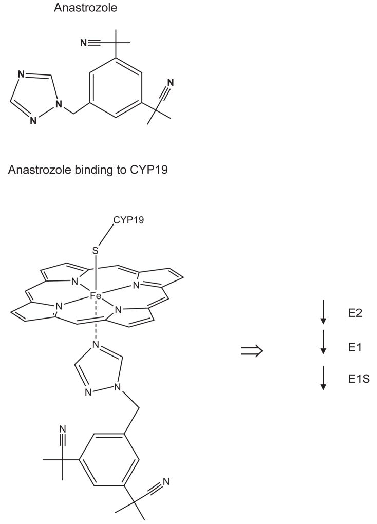 Anastrozole Use in Early Stage Breast Cancer of Post-Menopausal Women - PMC