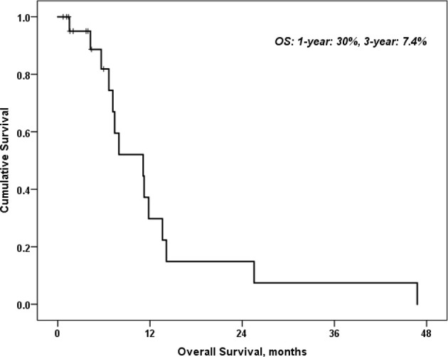 Figure 1