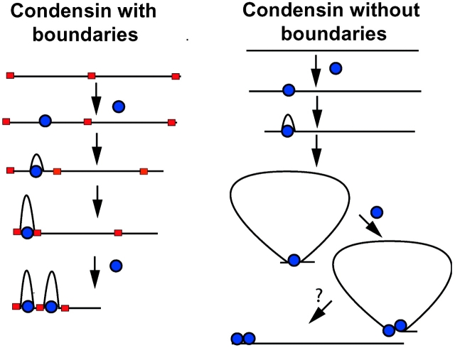 Figure 9.