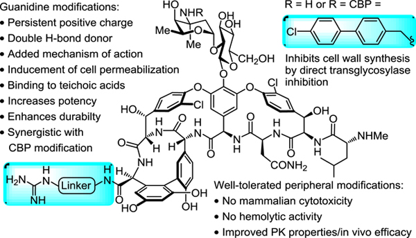 Vancomycin C-Terminus Guanidine Modifications and Further Insights into ...