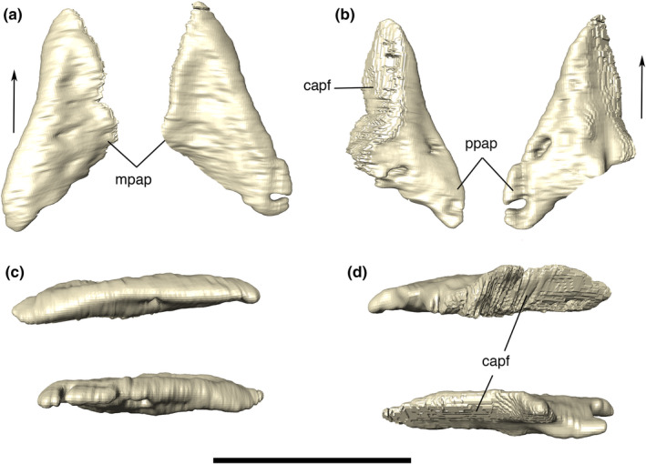 FIGURE 12