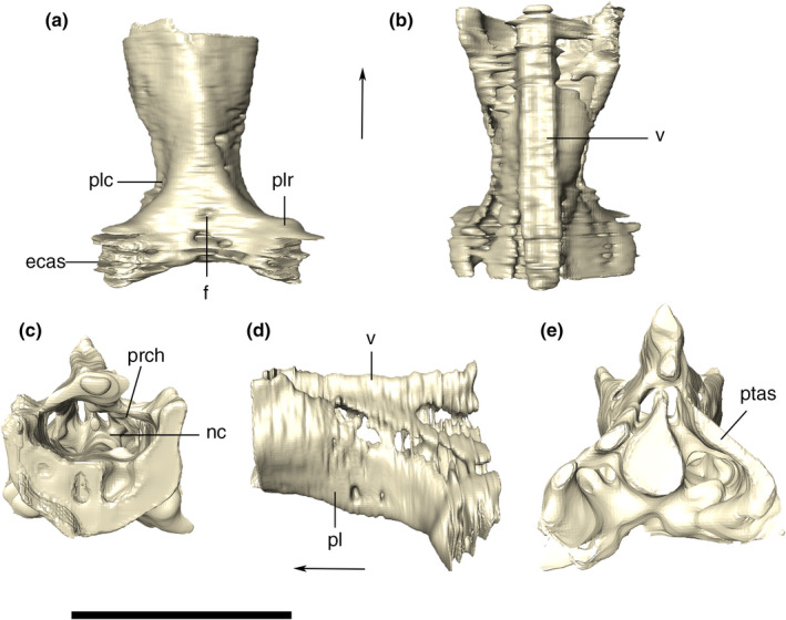 FIGURE 35