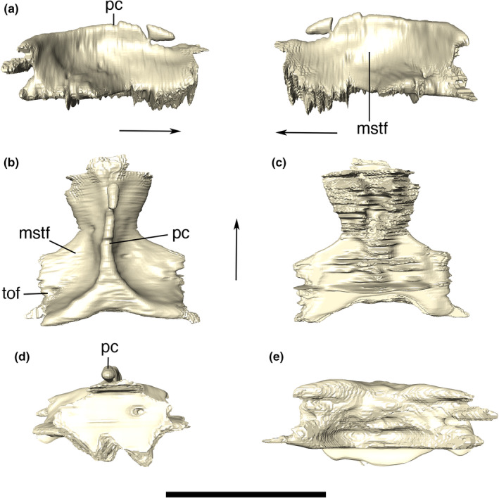 FIGURE 24