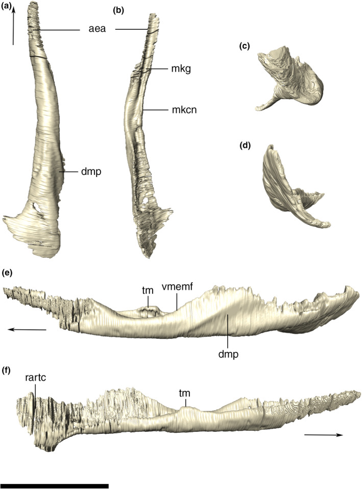 FIGURE 42