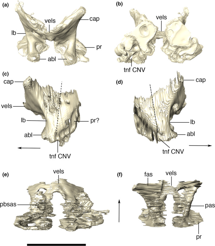 FIGURE 25