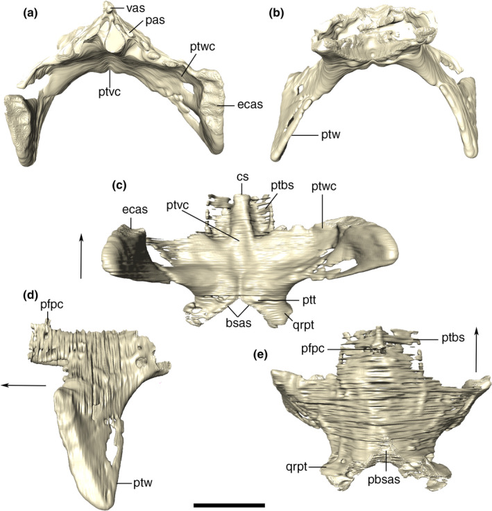 FIGURE 32