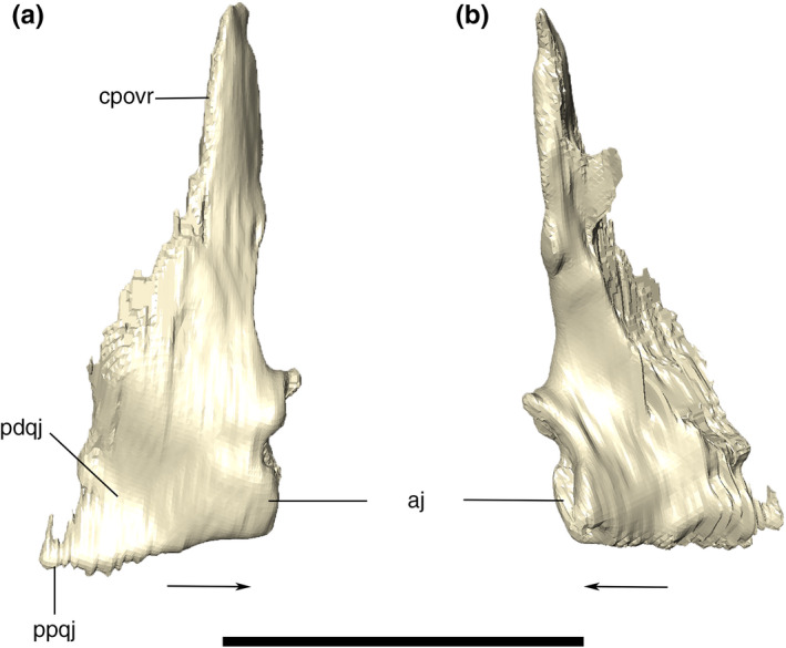 FIGURE 20