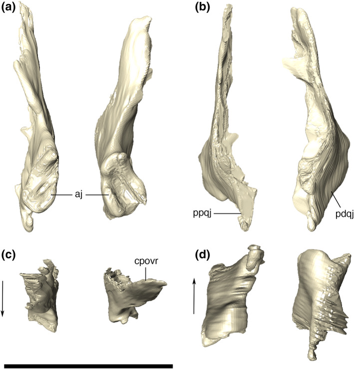 FIGURE 19