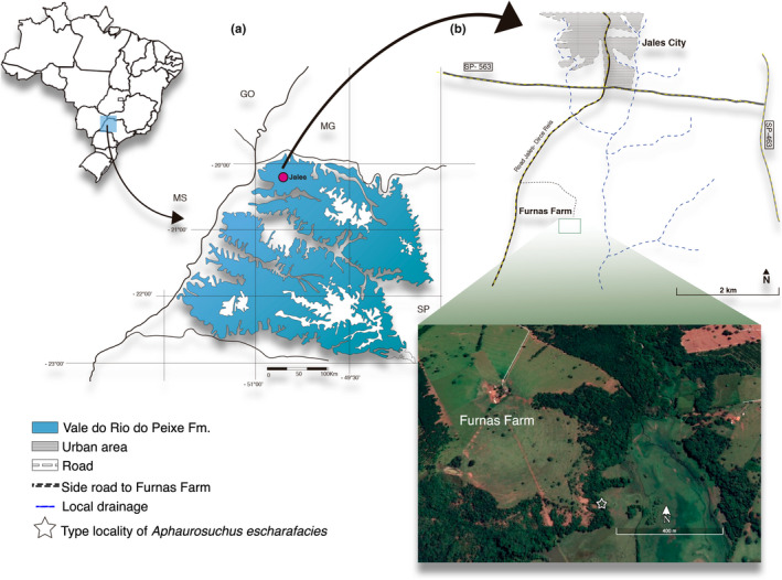 FIGURE 1