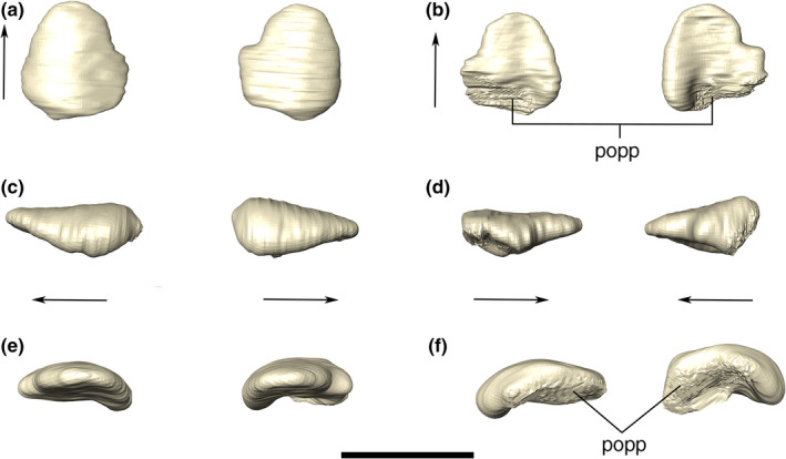 FIGURE 13