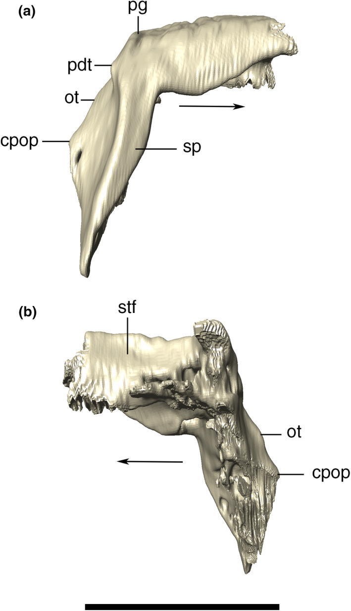 FIGURE 23