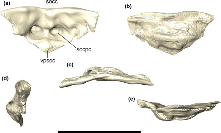 FIGURE 26