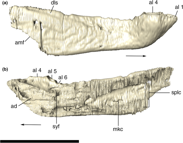 FIGURE 38