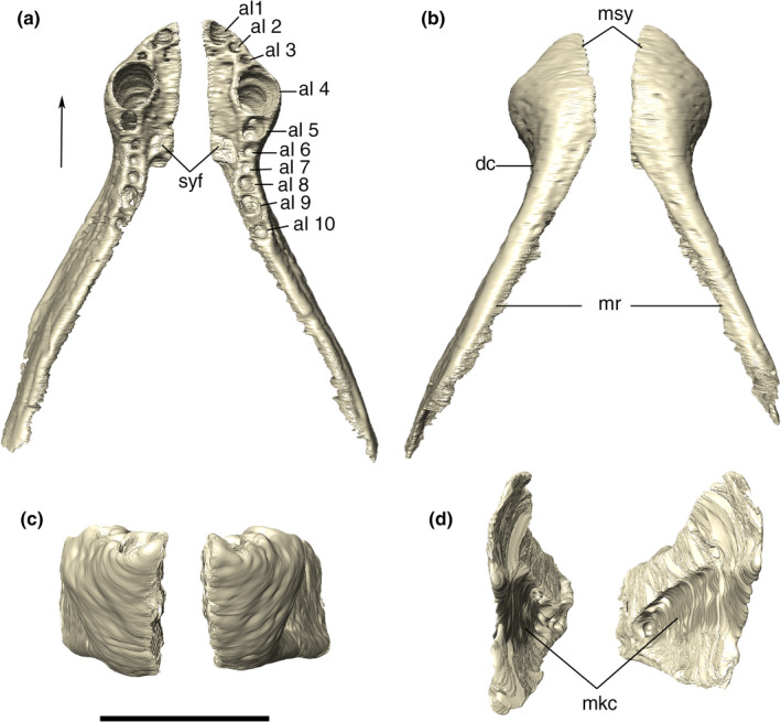 FIGURE 39