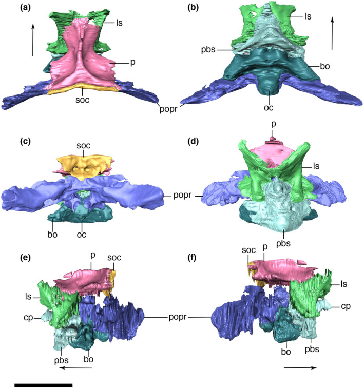 FIGURE 31