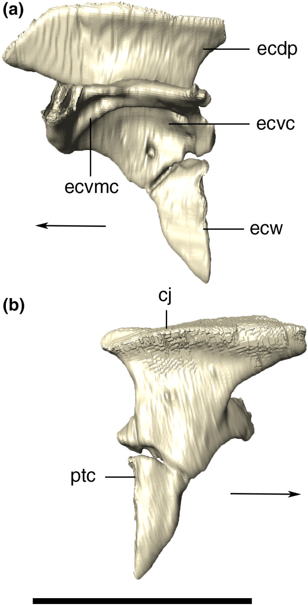 FIGURE 34