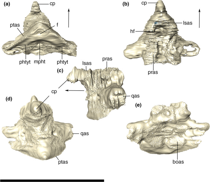 FIGURE 30