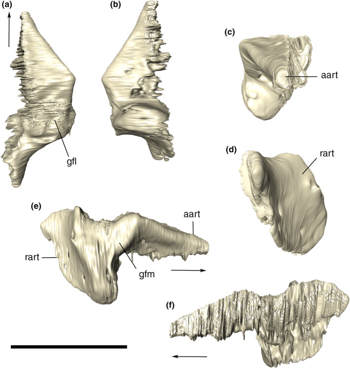 FIGURE 43