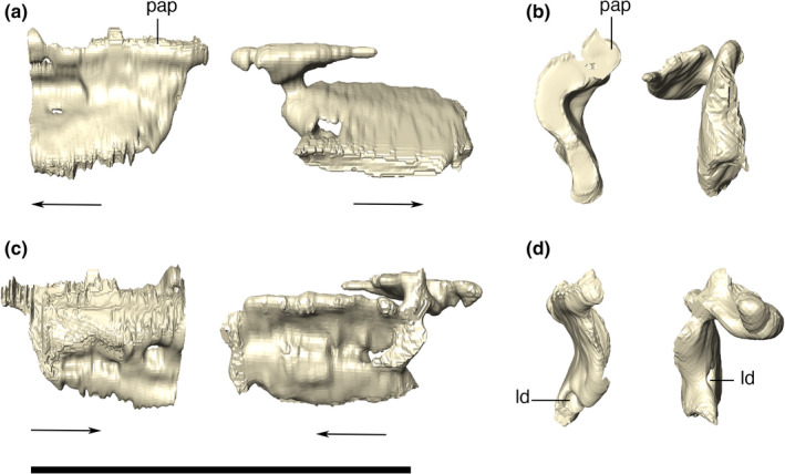 FIGURE 15