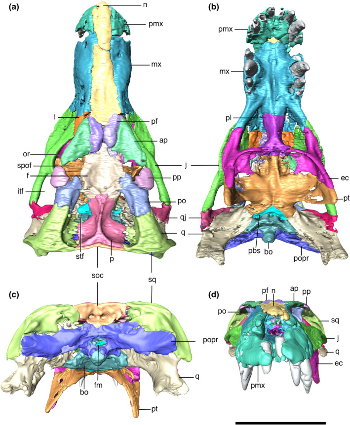 FIGURE 5