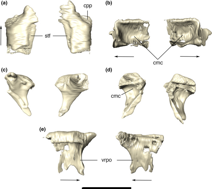 FIGURE 18